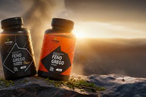 feno-grego-blog